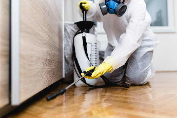 Best Residential Pest Control  in Newstle, CA