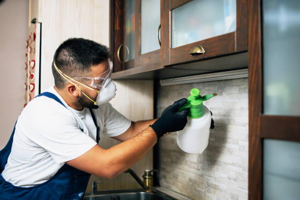 Best Pest Prevention Services  in Newstle, CA