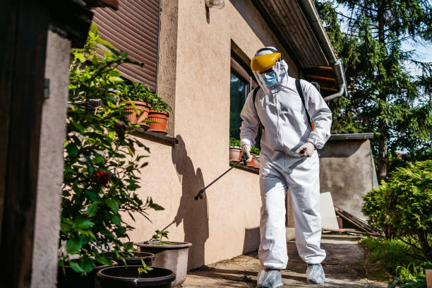 Best Bird Control  in Newstle, CA