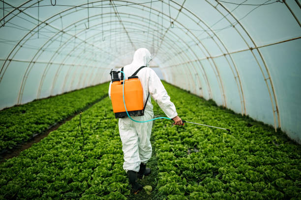 Pest Control Cost in Newcastle, CA