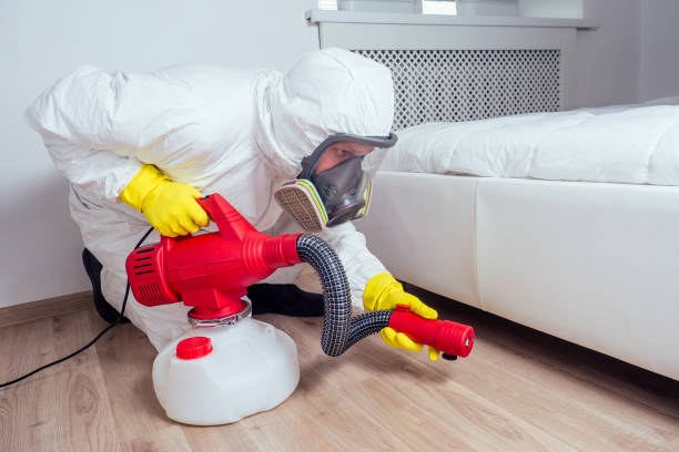 Professional Pest Control in Newcastle, CA