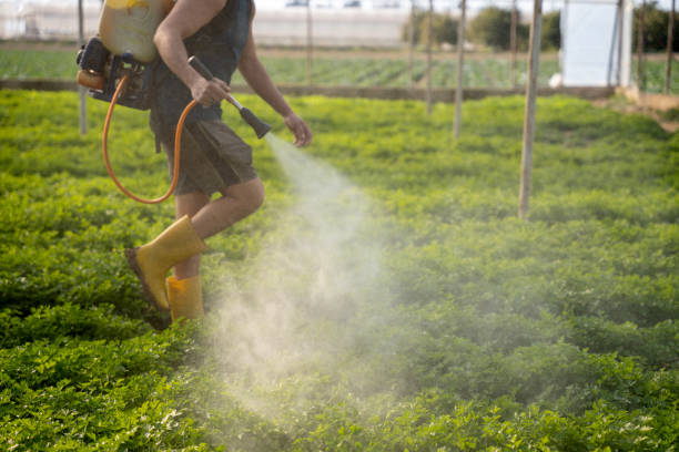 Pest Control for Restaurants in Newcastle, CA
