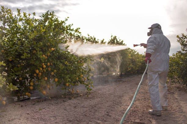 Best Flea Control Services  in Newstle, CA