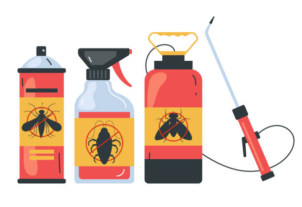 Best Spider Control Near Me  in Newstle, CA