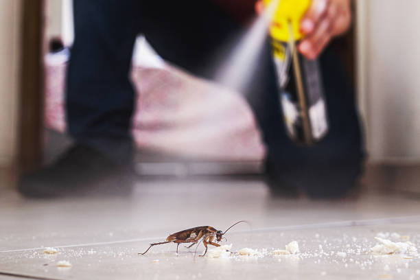 Best Pest Control for Businesses  in Newstle, CA