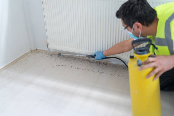 Best Residential Pest Control  in Newstle, CA