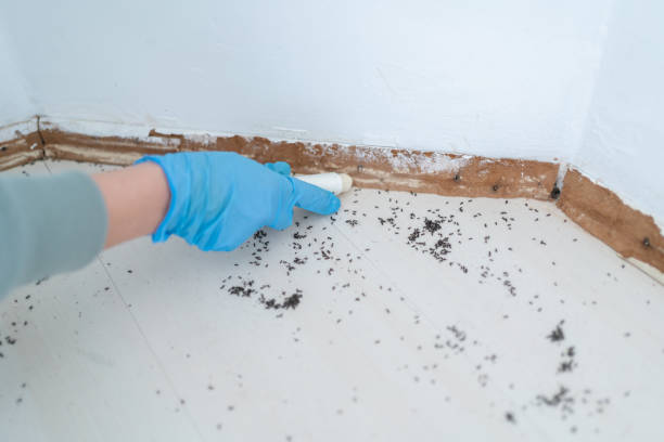 Best Exterminator Services  in Newstle, CA