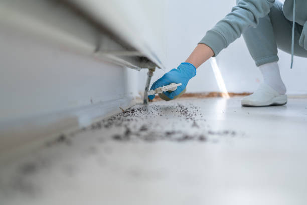 Best Rodent Control Near Me  in Newstle, CA